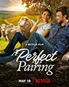 A Perfect Pairing 2022 Hindi Dubbed 480p 720p Filmy4Wap