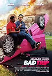 Bad Trip 2020 Hindi Dubbed 480p Filmy4Wap