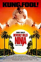 Beverly Hills Ninja 1997 Hindi Dubbed 480p 720p Filmy4Wap