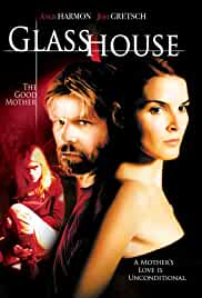 Glass House The Good Mother 2006 Dual Audio Hindi 480p Filmy4Wap