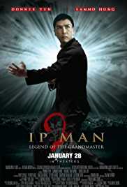 Ip Man 2 2010 Dual Audio Hindi 480p 300MB Filmy4Wap