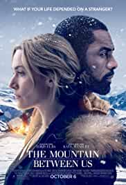 The Mountain Between Us 2017 Dual Audio Hindi 480p Filmy4Wap